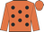 Orange, black spots, Orange sleeves and cap