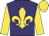 Purple, gold fleur de lys, sleeves and cap