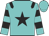 Turquoise, black star, epaulets and hoops on sleeves