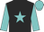 BLACK, turquoise star, turquoise sleeves, turquoise cap