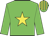 Green, yellow star, yellow hoop on sleeves, green cap with yellow stripes