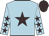 Light blue, brown star, brown stars on sleeves, brown cap