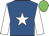 Royal blue, white star and sleeves, green cap