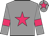 Grey body, rose star, grey arms, rose armlets, grey cap, rose star