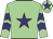 Light green, purple star, chevrons on sleeves, light green cap, purple star