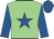 Light green, royal blue star & sleeves, royal blue cap