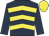 Dark blue, yellow chevrons, dark blue sleeves, yellow cap