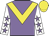 Mauve body, yellow chevron, white arms, mauve stars, yellow cap