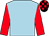 Pale blue, red sleeves, black and red check cap