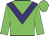 Green body, purple chevron, green arms, green cap