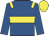 Royal blue, yellow hoop, yellow epaulets, yellow cap