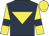 Dark blue, yellow inverted triangle, yellow sleeves, dark blue armlets, yellow cap