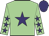 Light green, purple star, light green sleeves, purple stars and cap