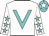 White, turquoise v bib, white sleeves, turquoise stars, turquoise cap, white star