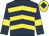 Dark blue, yellow chevrons and armlets, yellow cap, dark blue diamond
