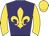Purple, gold fleur de lys, sleeves and cap