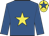 Royal blue, yellow star, yellow cap, royal blue star