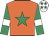 Orange, emerald green star, emerald green sleeves, white armlet, white cap, emerald green stars