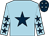 Light blue, dark blue star, light blue sleeves, dark blue stars, dark blue cap, light blue stars