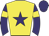 Yellow, purple star, purple sleeves, yellow armlets, purple cap