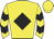Yellow, black diamond, chevrons on sleeves