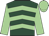 dark green, light green chevrons, light green sleeves and cap