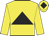 Yellow body, black triangle, yellow arms, yellow cap, black diamond