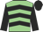 Light green, black chevrons, black sleeves, black cap