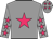 Grey body, rose star, grey arms, rose stars, grey cap, rose stars
