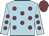 Light blue, garnet spots, light blue sleeves, garnet spots, garnet cap