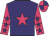 Purple body, rose star, rose arms, purple stars, rose cap, purple quartered