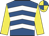 Royal blue, white chevrons, yellow sleeves, yellow and royal blue quartered cap