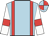 Light blue, red braces, white sleeves, red armlets, light blue and red quartered cap