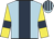 Light blue, dark blue stripe, yellow sleeves, dark blue armlets, light blue and dark blue striped cap