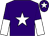 Purple, white star, halved sleeves and star on cap