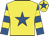Yellow, royal blue star, royal blue and yellow hooped sleeves, yellow cap, royal blue star