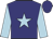navy, light blue star, light blue sleeves, navy cap