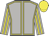 Light grey, yellow seams, striped sleeves, yellow cap