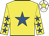 Yellow, royal blue star, yellow sleeves, royal blue stars, white cap, yellow star