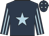 Dark blue, light blue star, striped sleeves, dark blue cap, light blue stars