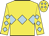 Yellow, light blue triple diamond, light blue diamonds on sleeves, yellow cap, light blue diamonds