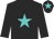 Black, turquoise star, black sleeves and cap, turquoise star