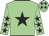 Light green, black star, light green sleeves, black stars, light green cap, black stars