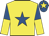 Yellow, royal blue star, royal blue and yellow halved sleeves, royal blue cap, yellow star