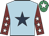 Light blue, dark blue star, maroon sleeves, white stars, emerald green cap, white star
