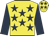 Yellow, Dark Blue stars and sleeves, Yellow cap, Dark Blue stars