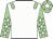 White, light green epaulets, light green sleeves, white stars, light green cap, white star