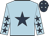 Light blue, dark blue star, light blue sleeves, dark blue stars, dark blue cap, light blue stars