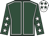 Dark green, white seams, dark green sleeves, white stars, white cap, dark green stars