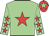 Light green, red star, light green sleeves, red stars, red cap, light green star